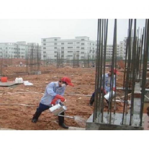 新建房屋基地白蚁预防措施