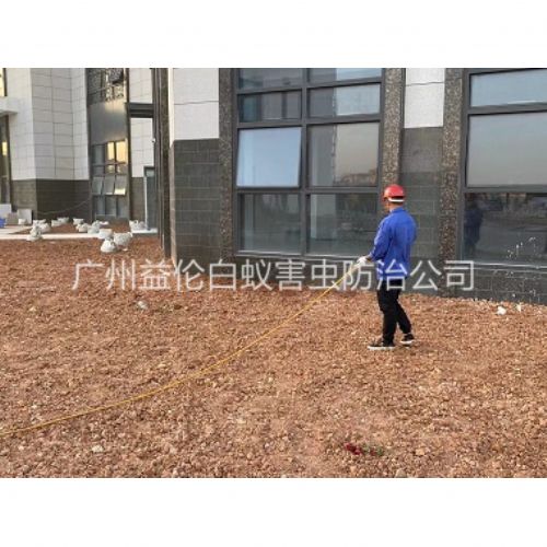 芳村房屋白蚁预防
