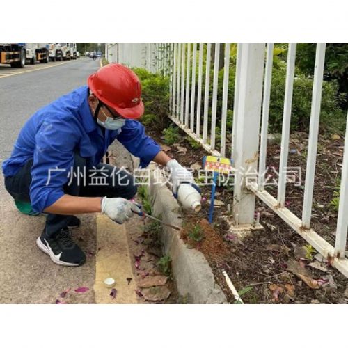 南沙红火蚁防治工程