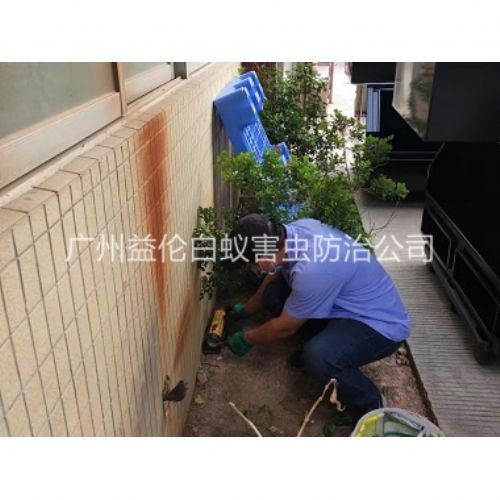 萝岗投放灭鼠装置工程