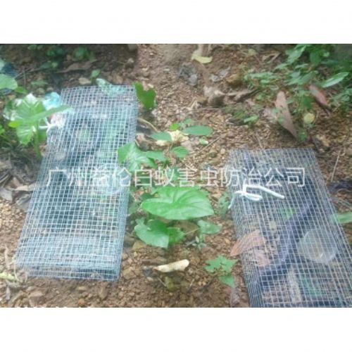 海珠上门驱蛇防蛇工程