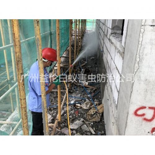 花都建筑白蚁预防工程