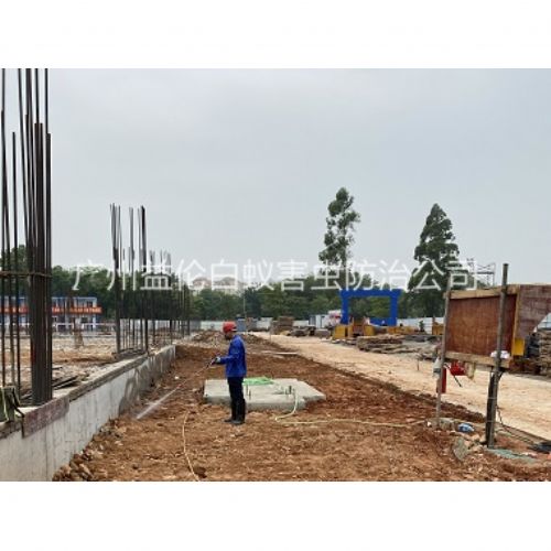 萝岗地基白蚁预防工程